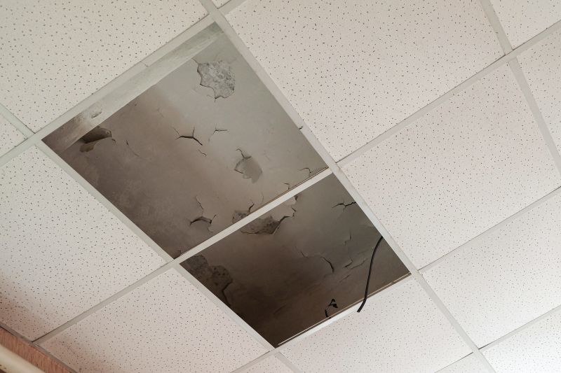 Water Damage Ceiling Repair in Katy, TX