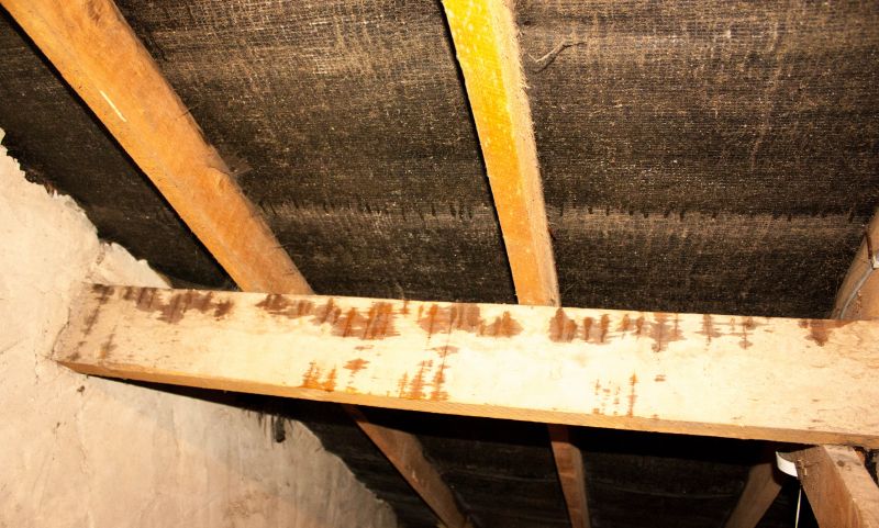 Building Damage Repair in Littleton, CO