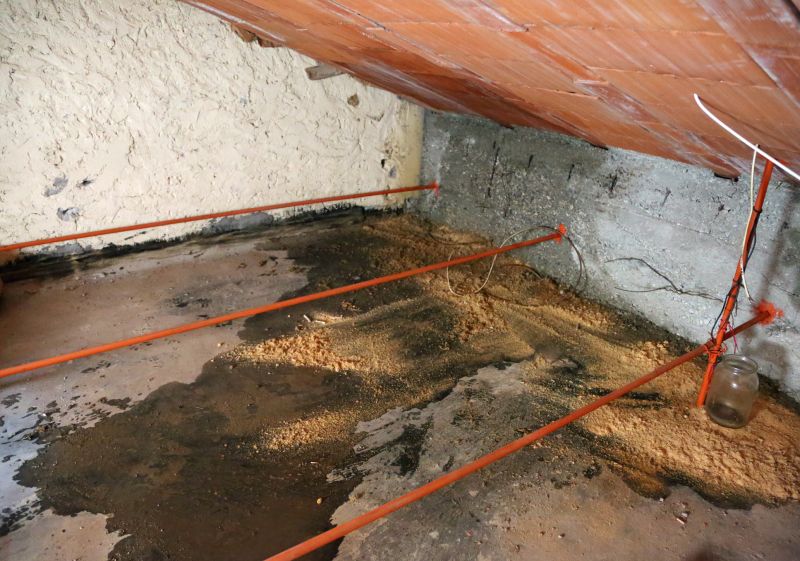 Crawl Space Remediation in Santa Rosa, CA