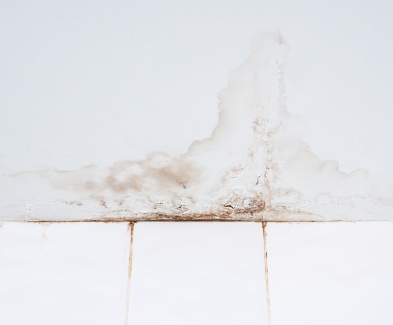 Leaking Ceiling Repair in Denver, CO