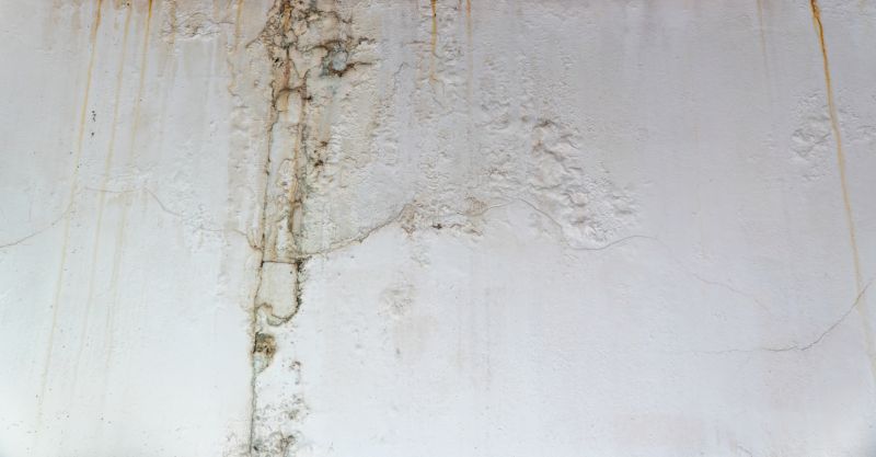 Leaking Ceiling Repair in Katy, TX