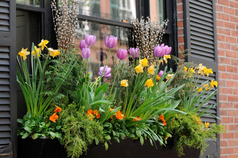 Window Box Installation