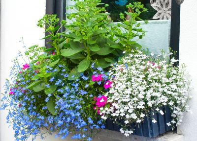 Add a Pop of Color and a New Look To Your Property