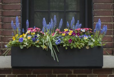 Add Character and Aesthetic Appeal To Any Home or Building